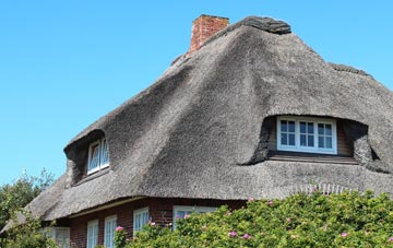 thatch roofing Allanton